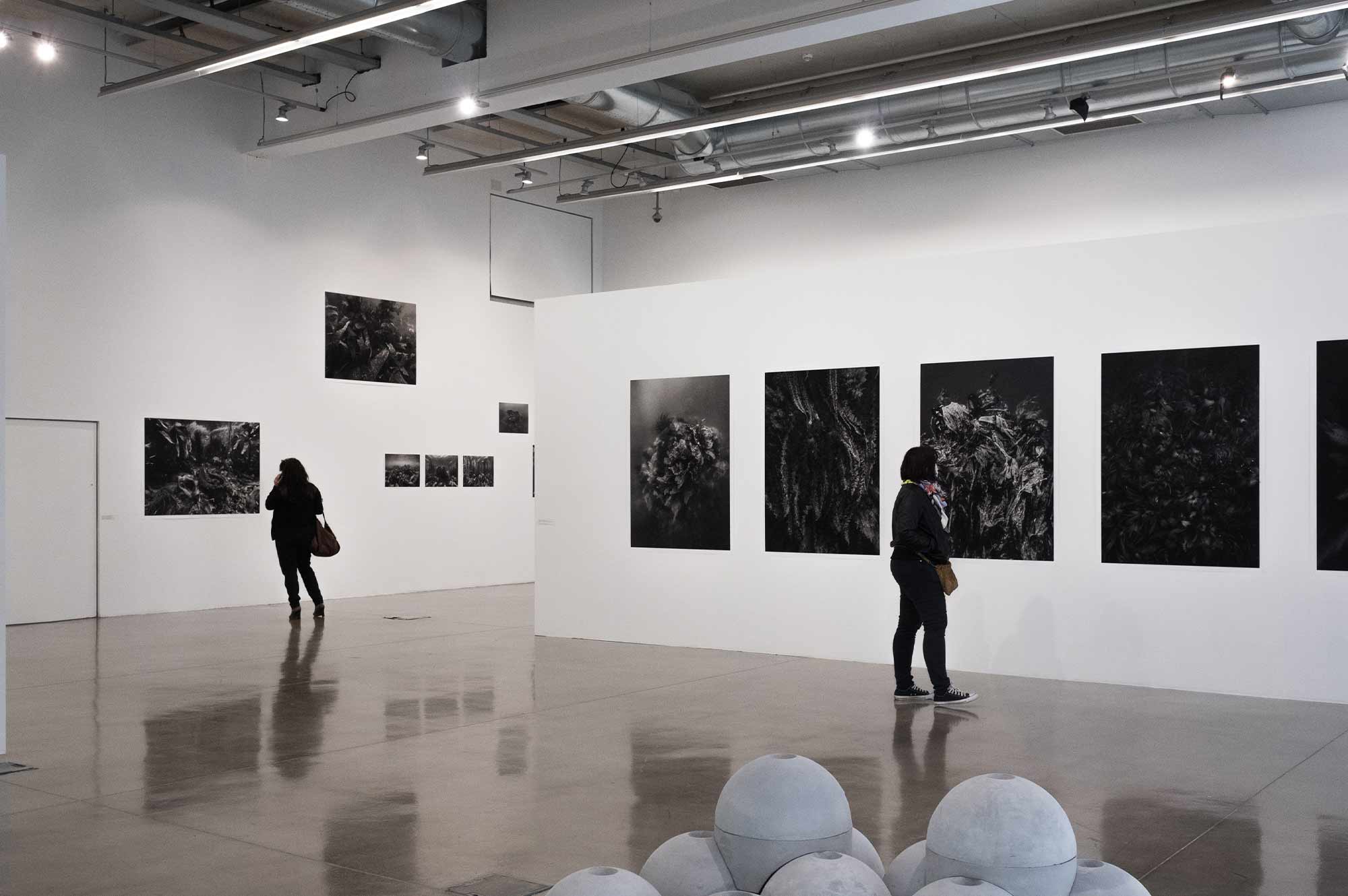 Manifesta 13 Marseille - Manifesta - Marseille - Parallèles du Sud - Nicolas Floc'h